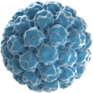 Virus-like capsid particle